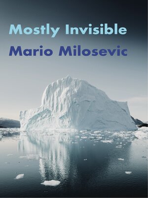 cover image of Mostly Invisible